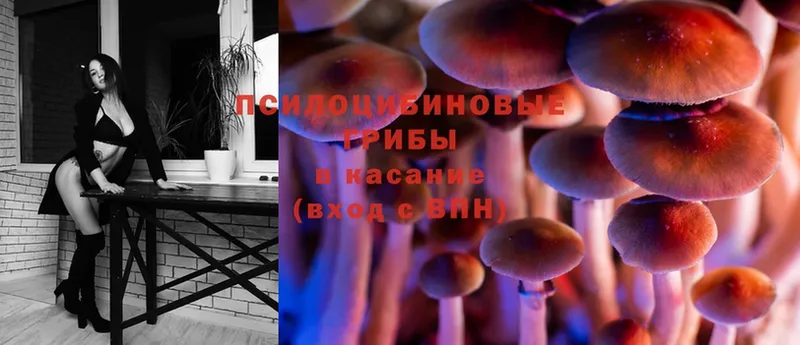 Галлюциногенные грибы Cubensis  дарнет шоп  Старая Купавна 